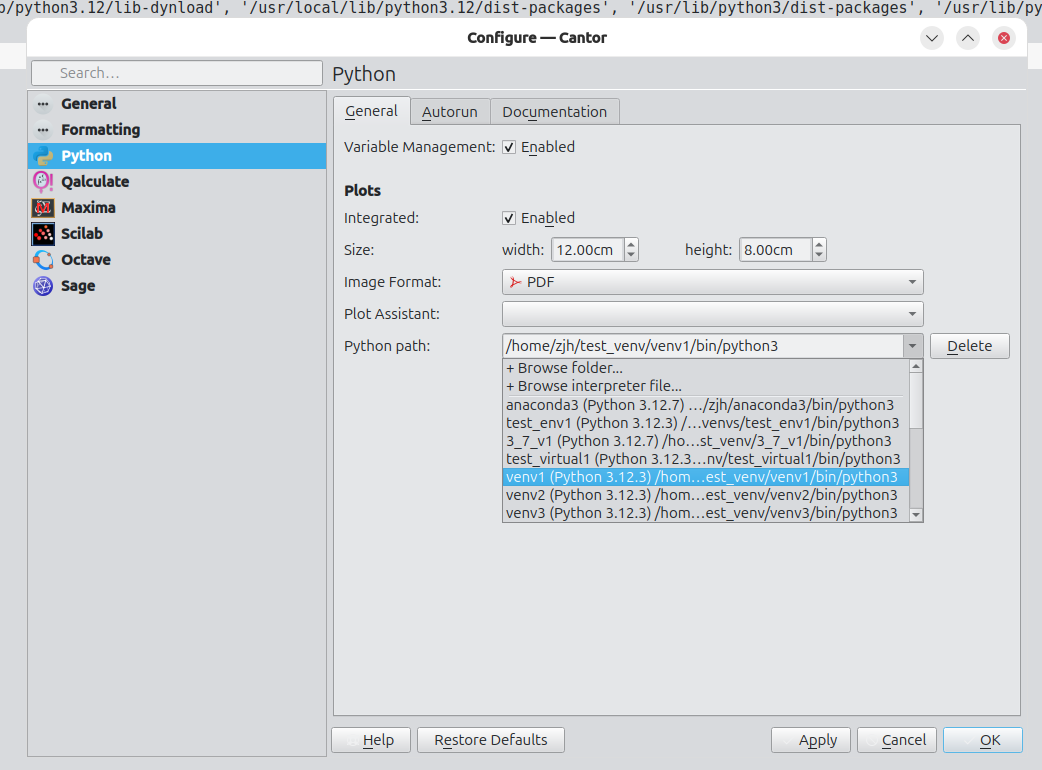 Switching Python virtual environment in Cantor.